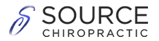 Source Chiropractic logo, it is black and purplish blue.